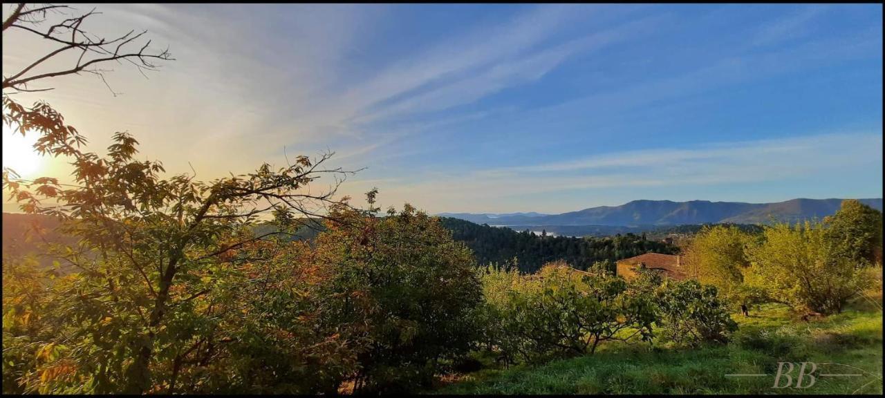 Gite Du Tilleul - 2 Etoiles - Domaine De L'Olivier Faugeres  Εξωτερικό φωτογραφία