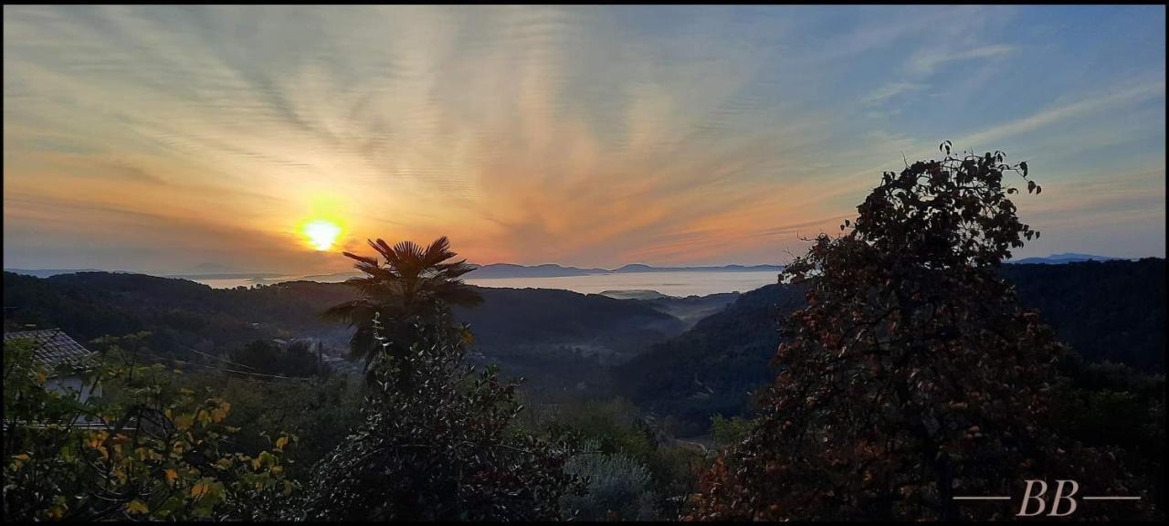 Gite Du Tilleul - 2 Etoiles - Domaine De L'Olivier Faugeres  Εξωτερικό φωτογραφία