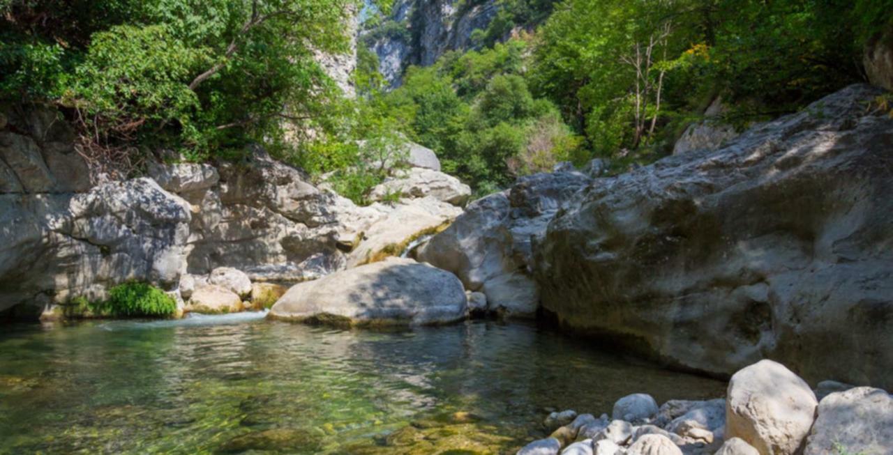 Gite Du Tilleul - 2 Etoiles - Domaine De L'Olivier Faugeres  Εξωτερικό φωτογραφία